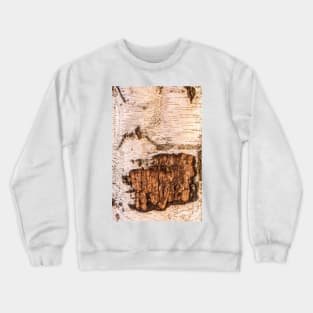 Shy Crewneck Sweatshirt